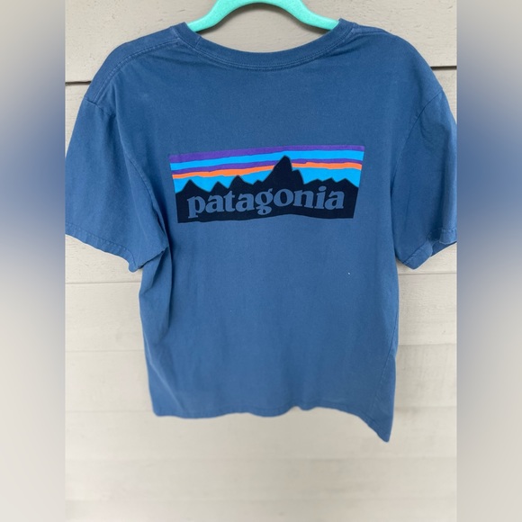 Patagonia Other - Patagonia tshirt size Medium